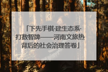 下先手棋·建生态系·打数智牌——河南文旅热背后的社会治理答卷