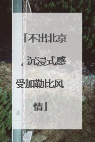 不出北京，沉浸式感受加勒比风情
