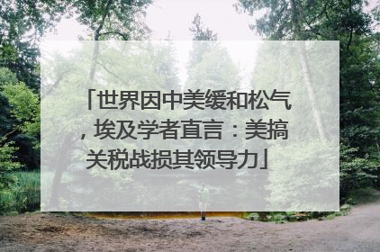 世界因中美缓和松气，埃及学者直言：美搞关税战损其领导力