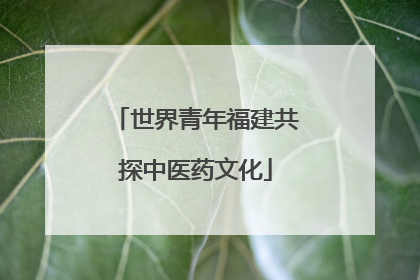 世界青年福建共探中医药文化