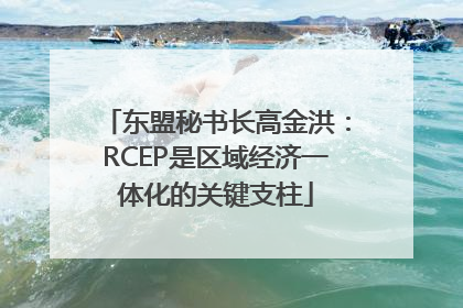 东盟秘书长高金洪：RCEP是区域经济一体化的关键支柱