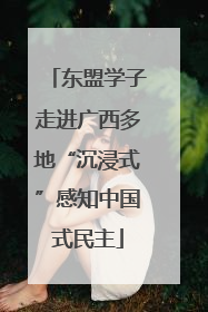 东盟学子走进广西多地“沉浸式”感知中国式民主