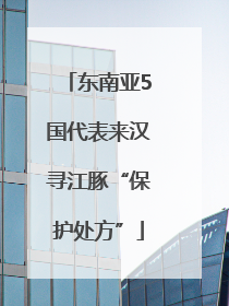 东南亚5国代表来汉寻江豚“保护处方”