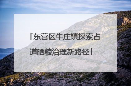 东营区牛庄镇探索占道晒粮治理新路径