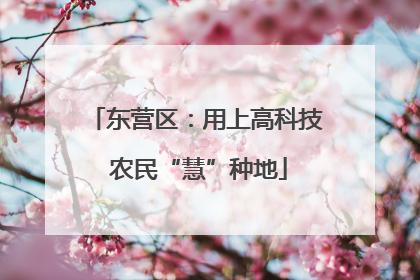 东营区：用上高科技 农民“慧”种地
