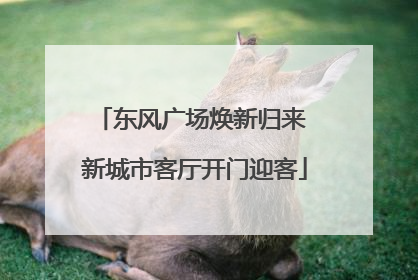 东风广场焕新归来 新城市客厅开门迎客