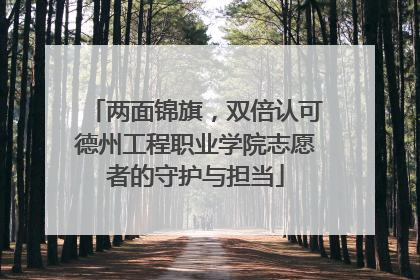 两面锦旗，双倍认可德州工程职业学院志愿者的守护与担当