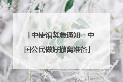 中使馆紧急通知：中国公民做好撤离准备