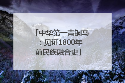中华第一青铜马：见证1800年前民族融合史