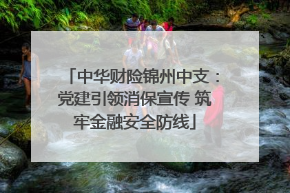 中华财险锦州中支：党建引领消保宣传 筑牢金融安全防线