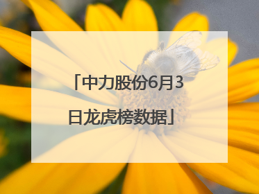 中力股份6月3日龙虎榜数据