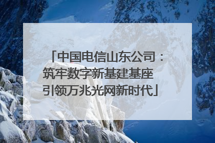 中国电信山东公司：筑牢数字新基建基座 引领万兆光网新时代