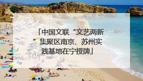 中国文联“文艺两新”集聚区南京、苏州实践基地在宁授牌