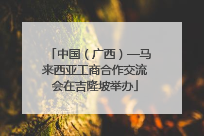 中国（广西）—马来西亚工商合作交流会在吉隆坡举办
