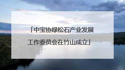 中宝协绿松石产业发展工作委员会在竹山成立