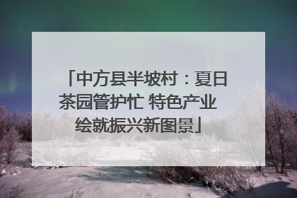 中方县半坡村：夏日茶园管护忙 特色产业绘就振兴新图景