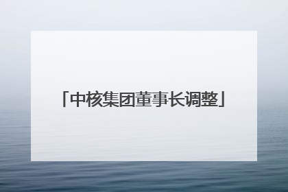 中核集团董事长调整
