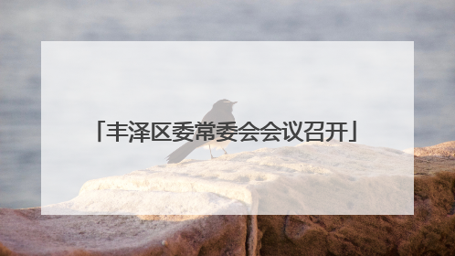 丰泽区委常委会会议召开