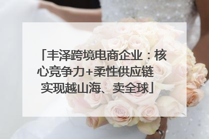 丰泽跨境电商企业：核心竞争力+柔性供应链 实现越山海、卖全球