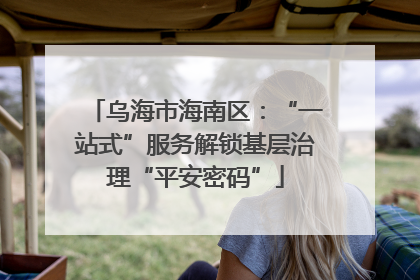 乌海市海南区：“一站式”服务解锁基层治理“平安密码”