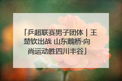 乒超联赛男子团体｜王楚钦出战 山东魏桥·向尚运动胜四川丰谷
