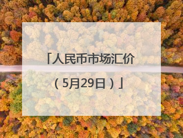 人民币市场汇价（5月29日）