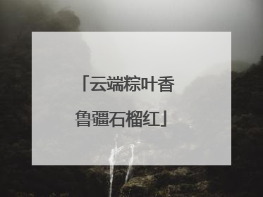 云端粽叶香 鲁疆石榴红