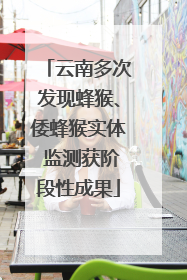 云南多次发现蜂猴、倭蜂猴实体 监测获阶段性成果