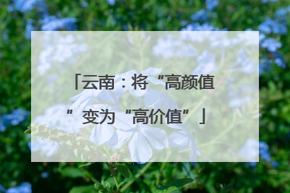 云南：将“高颜值”变为“高价值”