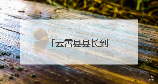 云霄县县长到和平乡调研