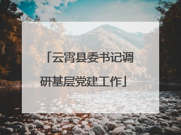 云霄县委书记调研基层党建工作