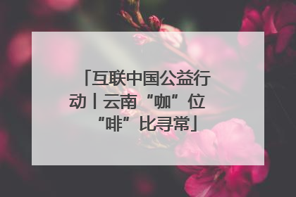 互联中国公益行动丨云南“咖”位“啡”比寻常