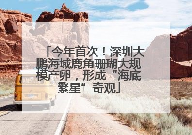 今年首次！深圳大鹏海域鹿角珊瑚大规模产卵，形成“海底繁星”奇观