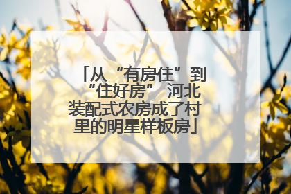 从“有房住”到“住好房” 河北装配式农房成了村里的明星样板房