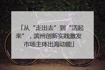 从“走出去”到“活起来”，滨州创新实践激发市场主体出海动能