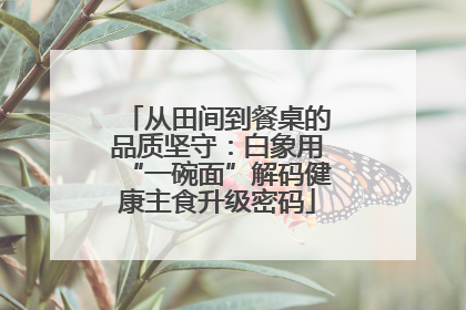 从田间到餐桌的品质坚守：白象用“一碗面”解码健康主食升级密码
