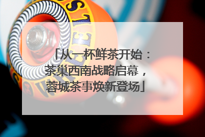 从一杯鲜茶开始：茶巢西南战略启幕，蓉城茶事焕新登场