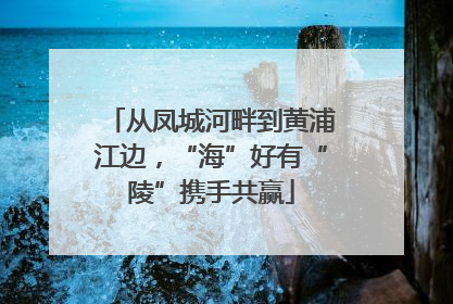 从凤城河畔到黄浦江边，“海”好有“陵”携手共赢