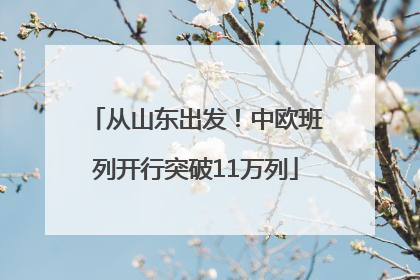 从山东出发！中欧班列开行突破11万列