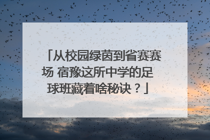 从校园绿茵到省赛赛场 宿豫这所中学的足球班藏着啥秘诀？