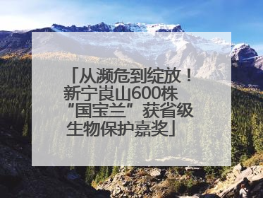 从濒危到绽放！新宁崀山600株“国宝兰”获省级生物保护嘉奖