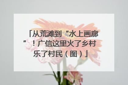 从荒滩到“水上画廊”！广信这里火了乡村 乐了村民（图）
