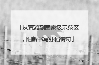 从荒滩到国家级示范区，阳新书写虾稻传奇