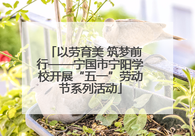 以劳育美 筑梦前行——宁国市宁阳学校开展“五一”劳动节系列活动