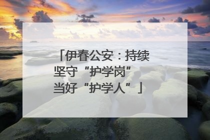 伊春公安：持续坚守“护学岗” 当好“护学人”