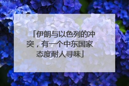 伊朗与以色列的冲突，有一个中东国家态度耐人寻味