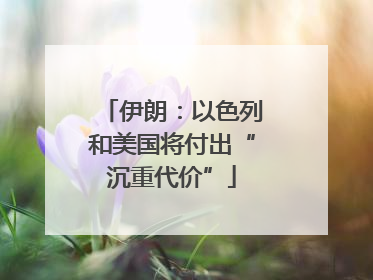 伊朗：以色列和美国将付出“沉重代价”