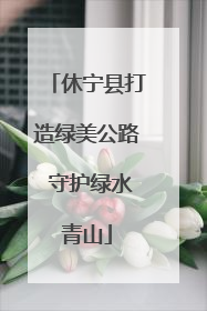 休宁县打造绿美公路 守护绿水青山