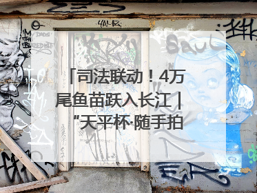 司法联动！4万尾鱼苗跃入长江｜“天平杯·随手拍”作品展播