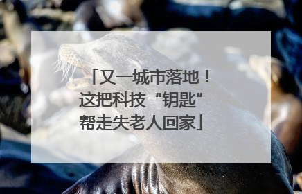 又一城市落地！这把科技“钥匙”帮走失老人回家